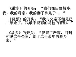 第一次獲獎(jiǎng)作文開頭結(jié)尾