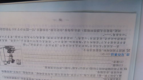 以不自以為為主題的作文開頭