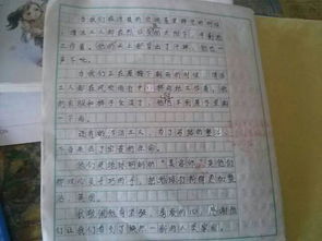 向清潔員致敬的作文好開頭