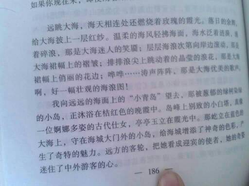 寫一處風景的作文(寫一處風景的作文)