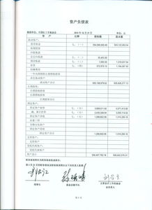 會計(jì)報(bào)表審計(jì)報(bào)告(會計(jì)報(bào)表審計(jì)報(bào)告)