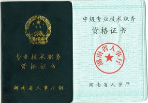 評(píng)中級(jí)職稱(chēng)技術(shù)總結(jié)(評(píng)中級(jí)職稱(chēng)技術(shù)總結(jié))