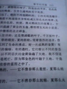 這次我沒有錯過秋天作文開頭