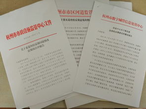 巡視整改工作自查報告(落實巡視整改工作總結)