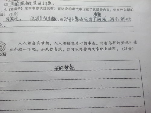我想實現(xiàn)我的夢想作文好的開頭