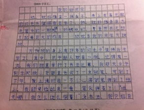團結同學幫助同學的作文600字作文開頭