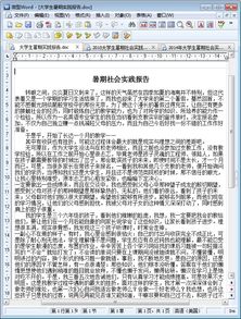 大學(xué)生實踐報告字(暑假大學(xué)生實踐報告)