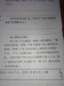 禮物小學(xué)作文600字作文開頭