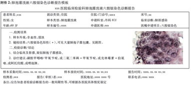 醫(yī)學(xué)檢驗(yàn)專題報(bào)告范文(見習(xí)專題報(bào)告范文)