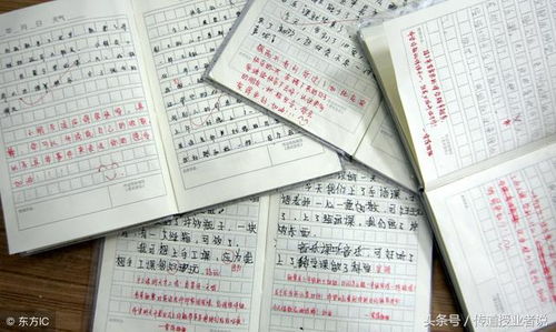 一級(jí)作文開頭結(jié)尾