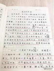 開門見山的作文開頭例子