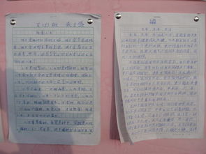 生活因誠實(shí)而精彩作文開頭