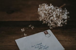 英語(yǔ)書(shū)信作文開(kāi)頭3句話(huà)