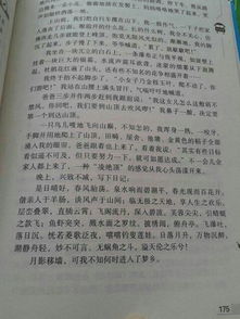 山水作文開頭
