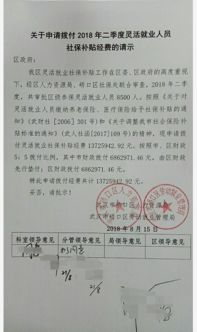 申請(qǐng)上級(jí)資金補(bǔ)助報(bào)告(向上級(jí)申請(qǐng)資金報(bào)告)