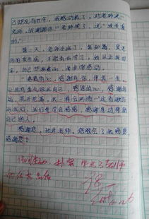 有關(guān)崇敬作文好的開頭