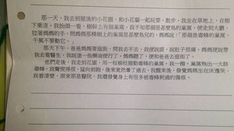 我的一嘗試作文600字作文開頭
