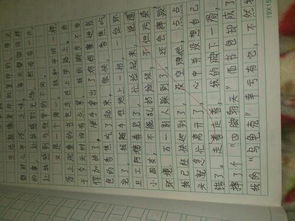 校園里生活的一件事作文600字作文開頭