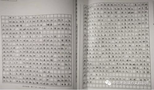 那一刻我長(zhǎng)大了優(yōu)秀開(kāi)頭作文
