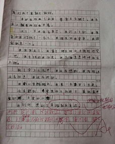 作文,捕捉,開頭,幸福