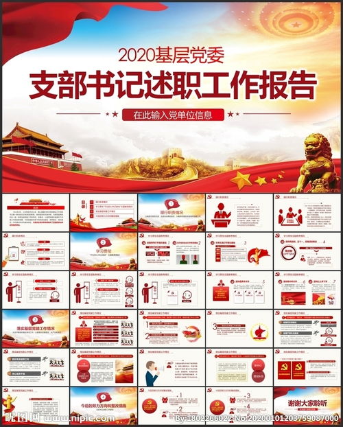 年度小學(xué)黨支部書記述職報告(年度村黨支部書記個人述職報告)