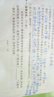 沙坡頭400字作文開頭