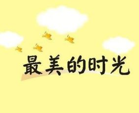 這里的故事如此美麗作文開頭