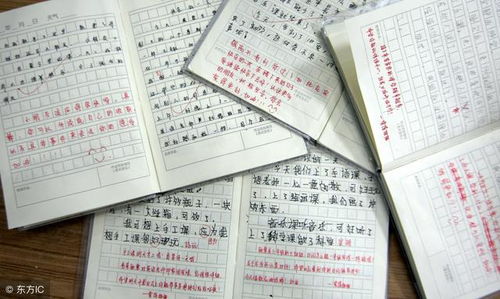 描寫(xiě)我的小伙伴作文開(kāi)頭結(jié)尾