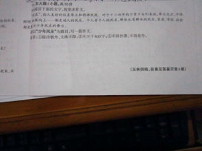 關(guān)于風采的作文：少年風采(關(guān)于少年風采作文（精選）)