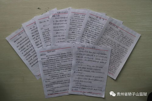 親情體驗(yàn)感悟的作文的開頭