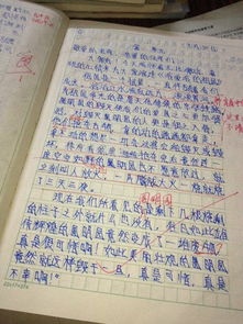 作文,結(jié)尾,開頭,遺憾