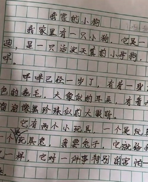 關于有我的作文開頭結尾怎么寫