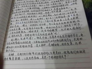 寫那段什么的日子的作文600字作文開頭