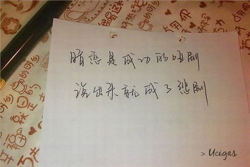眼神觸動我的心500字作文開頭