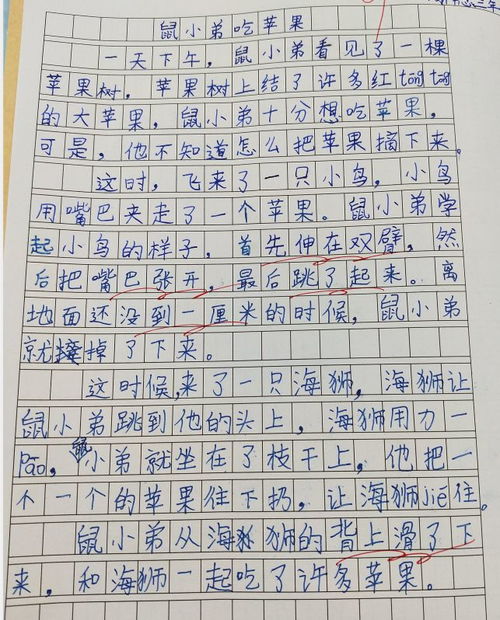 關(guān)于信心作文的開頭