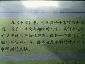 發(fā)現(xiàn)身邊的作文開(kāi)頭
