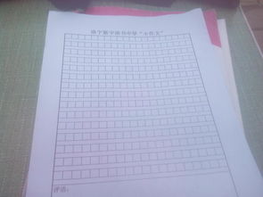 開(kāi)頭,字左右,優(yōu)秀作文