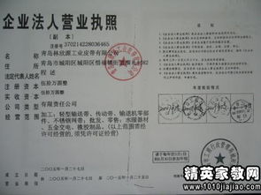 語(yǔ)文小學(xué)高級(jí)教師專業(yè)述職報(bào)告范文(小學(xué)語(yǔ)文高級(jí)教師述職報(bào)告范文)