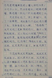 善待動(dòng)物作文開頭