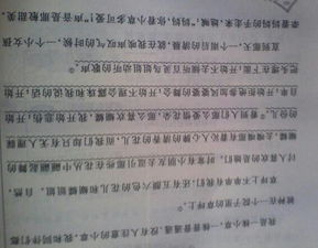 其實我懂你小草作文800字作文開頭