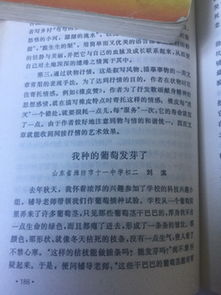 我全學(xué)會了1000字作文開頭