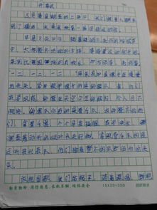 學(xué)校開運(yùn)動會描寫團(tuán)結(jié)的作文開頭結(jié)尾