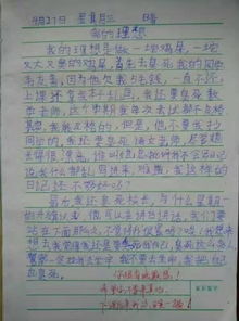 關(guān)于夢(mèng)想小故事的作文開頭怎么寫