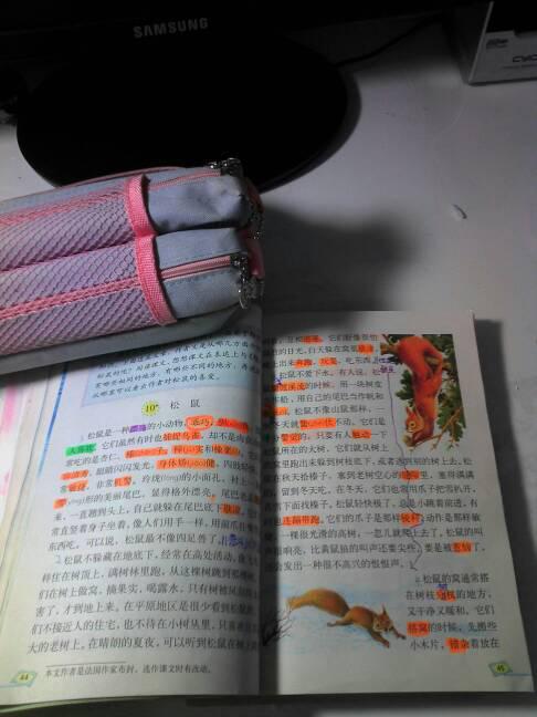 關(guān)于動物的說明文(關(guān)于動物的初中說明文)