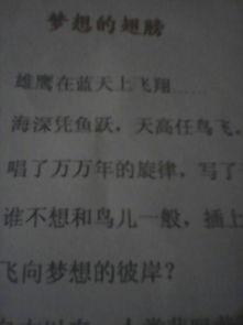 有關(guān)理想的作文開頭,關(guān)于理想的作文開頭和結(jié)尾,關(guān)于理想與信念的作文開頭