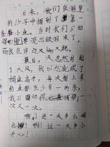 我在中的發(fā)現(xiàn)600字作文開頭怎么寫