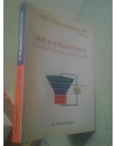 淺說經(jīng)營風險審計(審計經(jīng)營風險控制體系的職能研究)