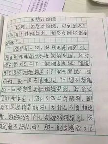 我的美女媽媽的開頭作文