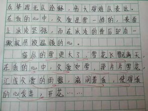 勇氣讓我作文開頭結(jié)尾