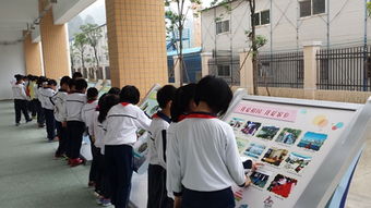 社會實踐活動成果(社會實踐活動成果展示會演講稿)